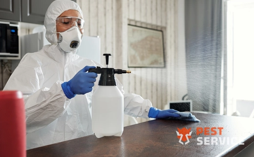 Дезинфекция в Чите